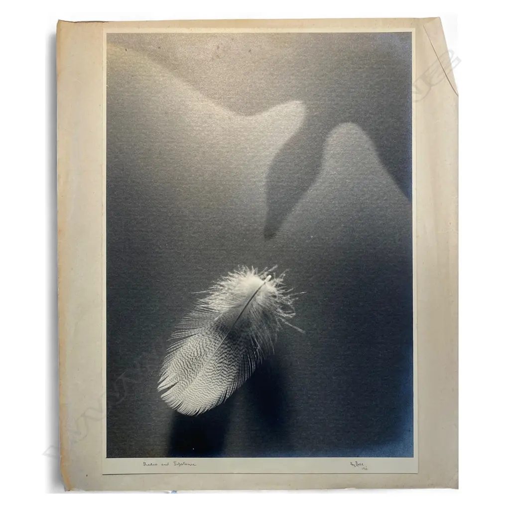 Reg P Bell 'Shadow and Substance', Image 1++